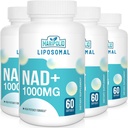 NAD+ lipossomal Suplemento 1000 mg . É o maior NAD Pontecy , Max Absorção , Puro NAD Suplemento , Reparo de Energia e DNA, Envelhecimento Defesa, Função Cérebro , 240 Softgels
