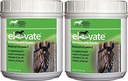 Kentucky Performance Products 2 Pack of Elevate Maintenance Power, 2 libras cada, suplemento natural de vitamina E