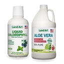 Suco de Aloe Vera da Arte da Terra - Romã com sabor a frio - Filet interno de folhas frescas orgânicas - 64floz + Flavored de Clorofila Líquida - Frio Extraído de Wild Non-GMO Alfalfa - 16floz