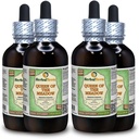 Rainha da Meadow (Eupatorium Purpureum) Glicerite, extrato líquido seco de ervas orgânicas sem álcool (nome da marca: HerbalTerra, orgulhosamente feita nos EUA) 4x4 fl.oz (4x120 ml)