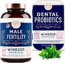 BOTÂNICAS WINDSOR Suplemento de fertilidade masculina e Probióticos dentários Saúde e bem-estar Bundle