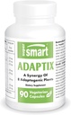 Supersmart Adaptix (Formula Avançada) - Extratos de plantas 8-em-1 - Ervas de adaptogênio com Ashwagandha, Astragalus, Ginseng, Reishi - Não-GMO & Gluten Free - 90 Cápsulas Vegetarianas