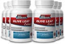 Suplementos esportivos Olive Leaf Extract poderoso antioxidante, sistema imunológico saúde 500mg (6 garrafas, 360 cápsulas)