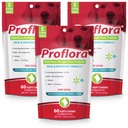 Proflora Mastigação Macio Probiótico para Cães - Veterinária-Forte Probiótico Diário - Saúde da Digestão - Sistema Imune Boost - Saúde da Pele e Revestimento - 180 Mastigação Macio