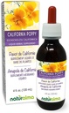 Naturalma Eschscholzia (Eschscholzia californica) erva sem álcool Tintura - 4 fl oz Extrato líquido em gotas - Suplemento de ervas - Vegan
