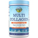 Terranics Multi Colágeno Peptídeos Pó, Tipo I II III V X Colágeno para Mulheres e Homens, Suplementos de colágeno para pele, unhas, cabelo, Fácil de dissolver, Sem sabor, Sem açúcar, Keto, 8 onças