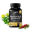 Rhodiola Rosea Suplemento Extrato de alta potência 500mg - 3% Rosavins 1% Salidrosides com Ashwagandha Shisandra Passion Flower Herb cápsulas em pó - Maneira natural de aliviar o estresse - Comprimidos para energia