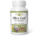 HerbalFactors by Natural Factors, Olive Leaf 500 mg, Natural Wellness Formula, 90 Cápsulas