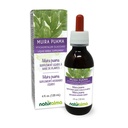 Naturalma Muira puama (Ptychopetalum olacoides) casca Tintura sem álcool - 4 fl oz Extrato líquido em gotas - Suplemento de ervas - Vegan