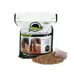 BioMane Hair Nutrition Supplement for Horses - Fonte de 30 dias (Resealable)