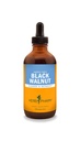 Herb Pharm Black Walnut Extract líquido para limpeza e desintoxicação - 4 onça