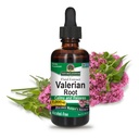 Resposta da natureza Raiz valeriana □ Promove sono descansado □ Acalma & Relaxa □ Super concentrado 1000mg □ Sem glúten, sem álcool, Kosher certificado & Vegan 2 onças (Pack of 2)