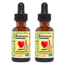 CRIANÇA ESSENCIAIS Echinacea para Crianças - Crianças Echinacea Drops, Tintura Líquida, Suplemento gratuito de álcool para bebês, crianças, Crianças - Laranja Natural, 1 Fl Oz (Pacote de 2)