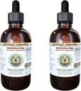 Echinacea Alcohol-Free Liquid Extract, Echinacea (Echinacea Angustifolia) Glicerita de raiz seca Hawaii Pharm Natural Herbal Supplement 2x4 oz