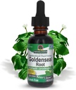 Resposta da natureza Goldenseal Raiz de ervas Suplemento de ervas Suporta um sistema imunológico saudável