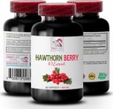 suplemento de bagas - BERRIES HAWTHORN EXTRACT - suplemento antioxidante para as mulheres, bagas antioxidantes, mistura de bagas antioxidante, antioxidante bagas hawthorn, energia de baga selvagem energia hawthorn 1Bot 60Caps