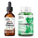 Cintura de noz preta selvagem e orgânica 2 fl oz & pastilhas de clorofila 60 contagem