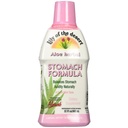 Lily Of the Desert Stomach Formula, Suco orgânico de Aloe Vera com Elm Slippery, Camomila, hortelã-pimenta, e Ginger para Gut Health, Reflux ácido, Azia alívio, 32 Oz