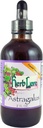 Herb Lore Astragalus Tintura – líquido Astragalus Raiz Extrair gotas - suporte do sistema imunológico – 4 Fl Oz