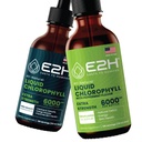 E2H: Flavor natural de clorofila líquida e sabor de hortelã-pimenta, Vegan, Não-GMO - 2 Fl Oz Cada (4 Fl Oz Total) - pacote