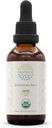 HerbEra Echinacea Root B60 USDA Tintura orgânica Extrato livre de álcool, gotas de ervas de alta potência, saúde do sistema imunológico