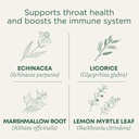 Lozenges medicamentos tradicionais, Garganta Orgânica Garganta Limão Ginger Echinacea, Suporte Garganta Dolorosa, 16 Contagem (Pacote de 2)