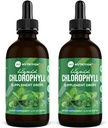 360 Nutrição Clorophyll líquido gotas com óleo de hortelã, GF & Vegan corpo interno desodorante suplemento, Suporta a saúde da tripa, Digestão, Energia, Pele Radiante, Absorção rápida (4 Fl Oz (2 Conde))