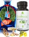OMNIBREATHE - Melhoria rápida dos problemas respiratórios por NAC 600MG Formulado cientificamente w. Quercetin/Mullein/Coq 10/Ginger/Stinging Nettle/Bromelain,3 vezes w. Refeição (10 dias de fornecimento para aumentar)