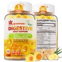 Ginger Mastiga chicletes para Náusea & Suporte Digestivo, Alivio estomacal - Açúcar grátis com alho alcaçuz & odorless, Quercetin, Vitamina D3, C, Delicious Digestive Supplements, 60Cts (Pacote de 1)