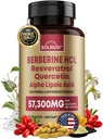 Premium Berberine Suplemento com Resveratrol Quercetin Alpha Ácido Lipóico - 50:1 Berberine HCl Complexo potente antioxidantes, Polifenóis, Vitality Boost - 90 comprimidos Vegan, Não-GMO, Gluten-Free
