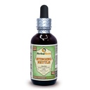 Herbal Terra LLC Stinging Nettle (Urtica Dioica) Glicerite, Folhas orgânicas secas extrato líquido sem álcool 2 onças