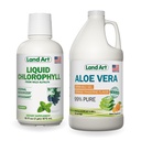 Land Art Aloe Vera Gel Bebível - Laranja Tangerina Flavored - Cold-Processed - Folhas frescas orgânicas - 64floz + líquido Clorophyll Mint Flavored - Frio Extraído de Wild Non-GMO Alfalfa - 16floz