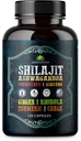 Shilajit para homens – 8-em-1 Suplemento Adaptogenic com Ashwagandha, Cordyceps, Ginseng, Rhodiola, Turmeric, Chaga & Ginger – Energia Natural, Stress Relief & Immune Support – 120 Cápsulas Vegan