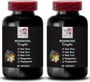 Energia Diária - Complexo RESVERATROL - Mistura de Berry, Balanço de Hidratação, Poderosos Antioxidantes, Ingredientes Naturais, Noni Power, Benefícios de Berry, Apoio Nutricional, Flavor Refrescante 2 Garrafas 120 Caps