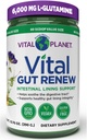 Vital Planet - Vital Gut Renew Powder Supplement for Leaky Gut Repair with L-Glutamina, Marshmallow and Ginger Root, DGL Licorice Root and Organic Aloe Vera, L Glutamina 6000mg 13.76 oz