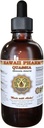 Quassia Liquid Extract, Quassia (Quassia Amara) Tintura, Suplemento de ervas, Hawaii Pharm, Made in USA, 4 fl.oz
