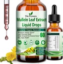 Mullein gotas para pulmões, extrato de folha de mullein orgânico para detox pulmonar w. Clorophyll Elderberry Orégano óleo Resveratrol Mullein Tintura álcool livre, sabor original, 2 f Fl / Oz