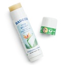 Badger Bug Bite Itch Relief Stick, Natural & Orgânico Anti Comichão Creme para mordidas de insetos, Rashes & Hera venenosa, Rápido Itchy alívio da pele após a mordida, Funciona ótimo, Cheira ótimo, Fácil de usar, .6 onças
