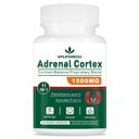 11-em-1 Suplemento de Suporte Adrenal, Suplemento de Cortisol com Ácido Pantotênico e Ashwagandha - Suporta Função Adrenal Saudável, Energia e Relaxamento- 60 Cápsulas