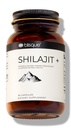 Blisque – Puro Himalaia Orgânico Shilajit Resin Extract Cápsulas de Extração de Resina
