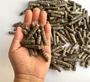 Pellets de beterraba inteligente para alimentação - Cavalo, Pony, Cabra, Alimentação de Bovinos - Bom para a saúde do cérebro e adoçante natural (12 onças)