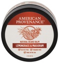 American Provenance Premium Barba Natural e Balsa de Bigode para homens com Manteiga de Karité, Óleo de Jojoba, Óleo de Argan - Balsa de Argan que Condições, Hidrata e Strenthens Barba e Bigodes de Qualquer Comprimento