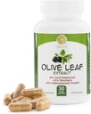 Extrato de Folha de Oliva - 500mg - Suplemento padronizado para 25% Oleuropein - 20% Hidroxitirosol - 40% Polifenóis - Não-GMO + Gluten Free + Dairy Free + Soy Free + Vegan (30 Cápsulas)