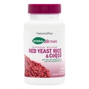 NaturesPlus Herbal Actives Red Yeast Rice + CoQ10 Extended Release - 30 Tablets, Pack of 2 - Antioxidante + Suporta Bem-Estar Geral - Vegetariano, Gluten Free - 60 Total Servings