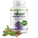 MucosaCalm - Suporte dietético de ervas para o revestimento da mucosa intestinal