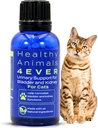HA4E - Remédio ITU gato - Suporte Renal Natural para Gatos - Suporta Bladder & Saúde Urinária - Limpeza Renal - Não-GMO, Orgânico, Sem Produtos Químicos - 300 Comprimidos