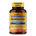 SANDHUHERBALS Sandhu Herbals Echinacea Goldenseal 1000 Mg 120 Cápsulas Suporte do sistema imunológico Resposta respiratória Suplemento de resposta inflamatória