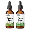 Tintura de chá verde selvagem e orgânico 2 fl oz & Gotu Kola Tintura 2 fl oz