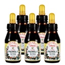 Distribuidor Oficial - 5 Garrafas de Apiario Silvestre Brasileiro Verde Abelha Própolis Líquido Glicolico Extrato-Não Alcoólico, Cera Livre, Açúcar Livre (PG)