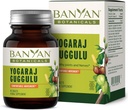 Banyan Botanicals Yogaraj Guggulu – Suplemento de Apoio Orgânico Conjunto --– Mistura Ayurvédica para Apoio aos Sistemas Esquelético e Neuromuscular* – 90 Comprimidos – Não-GMO, Sustentável Fonte, Vegan